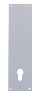 Contre-plaque en aluminium anodisé argent pour porte palière 1140, 250X70X2 mm