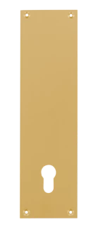 Contre-plaque en aluminium anodisé champagne pour porte palière 1140, 250X70X2 mm